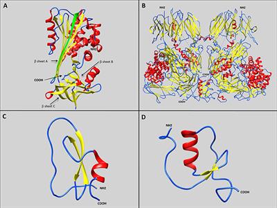 <mark class="highlighted">Serine Protease Inhibitors</mark> in Ticks: An Overview of Their Role in Tick Biology and Tick-Borne Pathogen Transmission
